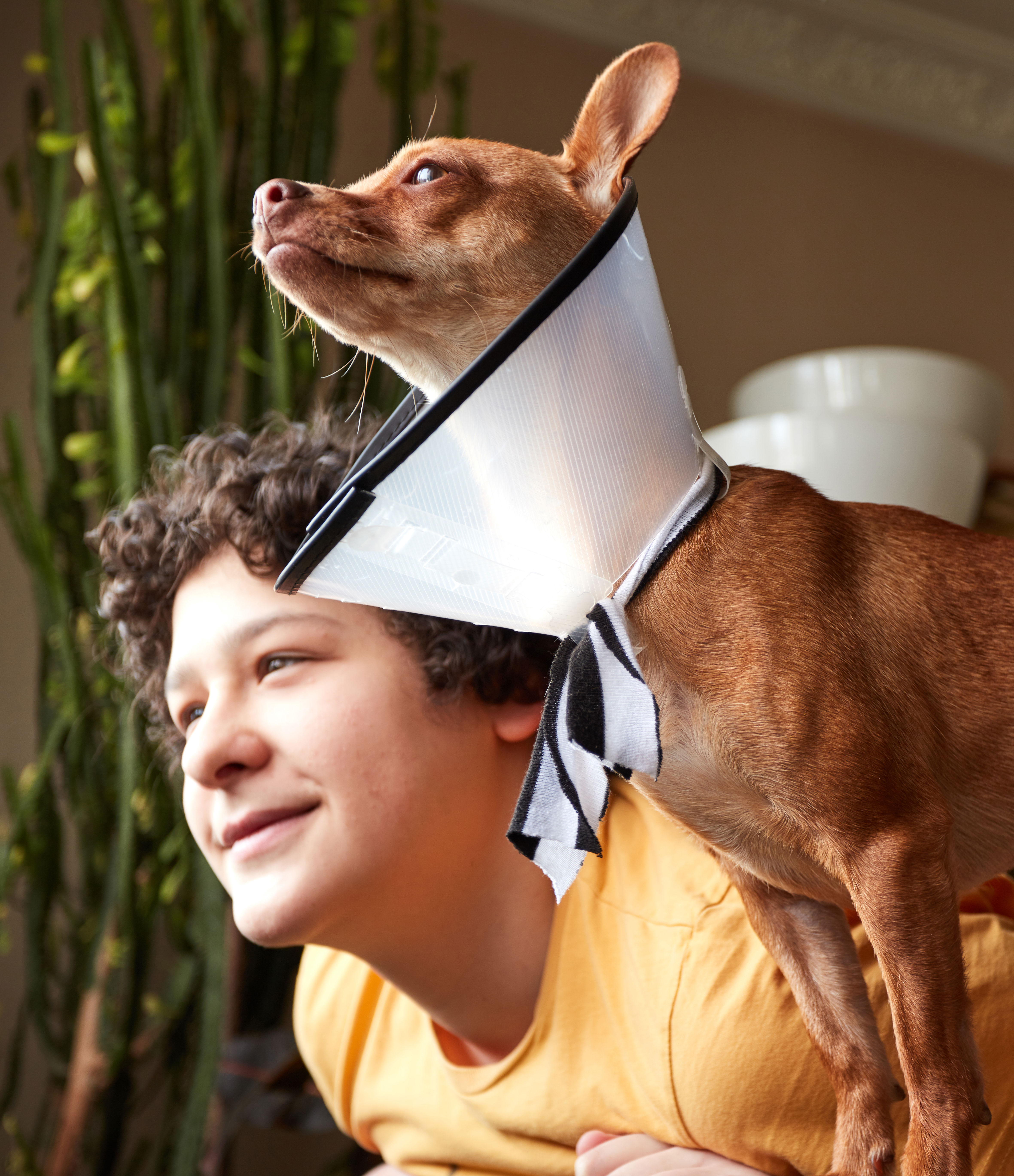 Kid with dog looking out window